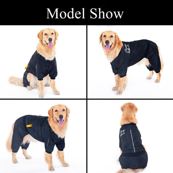 Little and Large Waterproof Warm Hoodie Pet Coat - 4 Terriers Only