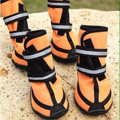 New For 2019 Four season Waterproof all Weather Pet Shoes With Reflective Straps - 4 Terriers Only