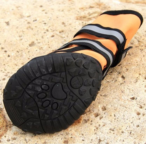 New For 2019 Four season Waterproof all Weather Pet Shoes With Reflective Straps - 4 Terriers Only