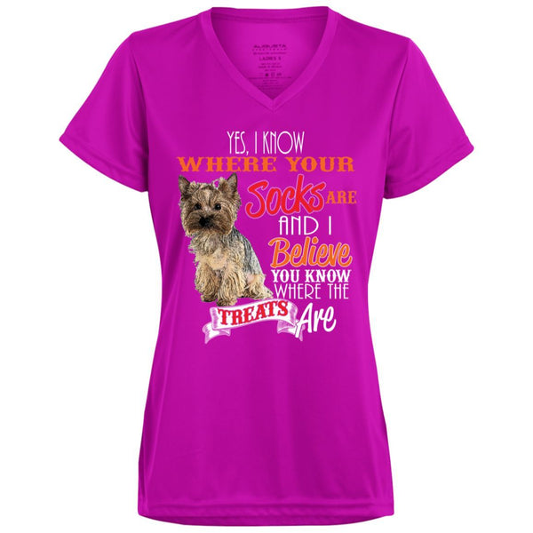 Yorkie, I know where The Socks Are Funny T Shirt - 4 Terriers Only