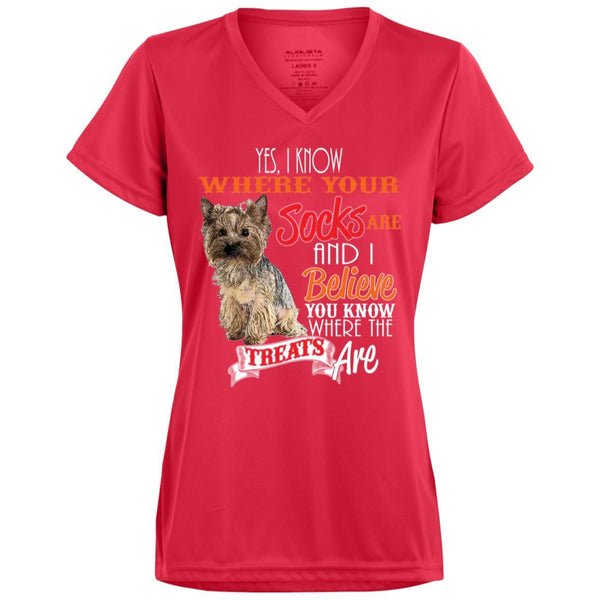 Yorkie, I know where The Socks Are Funny T Shirt - 4 Terriers Only